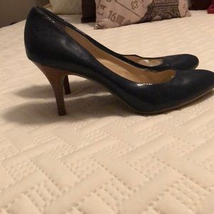 8.5 Navy Patent Lizard